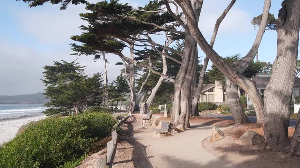 Path, trail or footpath, ocean beach, California coast. Waterfront pine cypress. Royalty Free Stock Photos