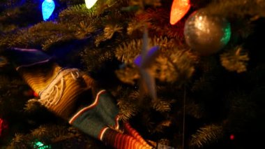 Çelenk ışıkları, Meksika Noel ağacı. Xmas ya da Yeni Yıl çamı, köknar ya da ladin.