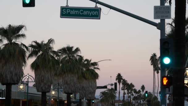 Palm trees in city near Los Angeles, street road sign, semaphore traffic lights. — Stock Video