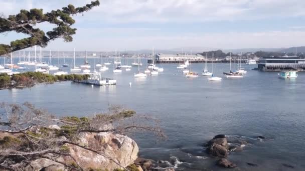 Yates en puerto o bahía, Puerto deportivo de Monterey, Old Fishermans Wharf, costa de California — Vídeo de stock