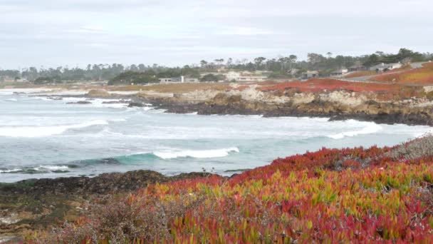 17 mil jazdy, Monterey, Kalifornia. Nieruchomości na przedmieściach, domy nad oceanem — Wideo stockowe