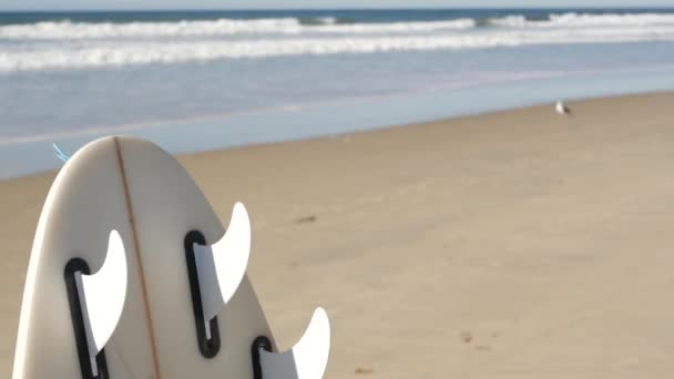 冲浪冲浪站在海滩沙滩上,加利福尼亚海岸,美国.海洋波浪 — 图库视频影像