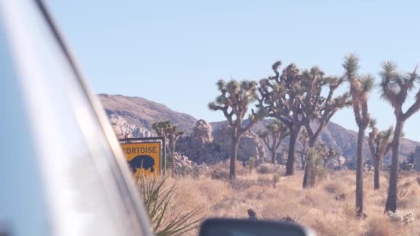 Tortoise or turtle crossing yellow road sign, California USA. Wild animal xing. — Stock Video