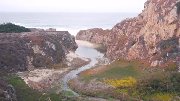 Rivierkreekmonding in canyon, bergklif of bluf. Californische oceaankust. — Stockvideo