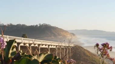 Pasifik kıyısı karayolu köprüsü, Torrey Pines plaj günbatımı, California yol gezisi