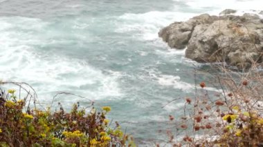 Kayalık okyanus, sisli hava. Dalgalar sahile çarpıyor. Kaliforniya, Big Sur.