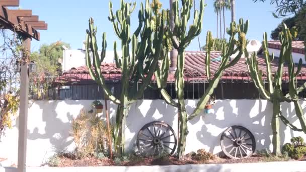 Mexická usedlost na venkově. Šťavnaté kaktusové rostliny, bílá stěna, Kalifornie. — Stock video