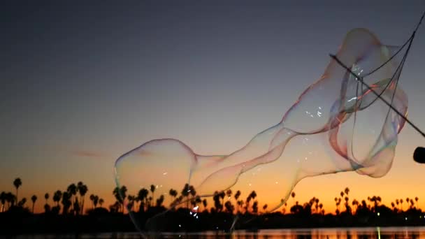 Sylwetki palm, zachód słońca, plaża oceaniczna, bańki mydlane, wybrzeże Kalifornii, USA. — Wideo stockowe