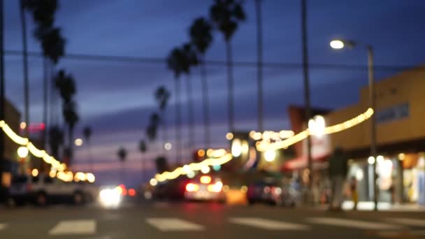 Palm trees in Ocean Beach, lights in twilight, California coast, San Diego, USA. — Stock Video