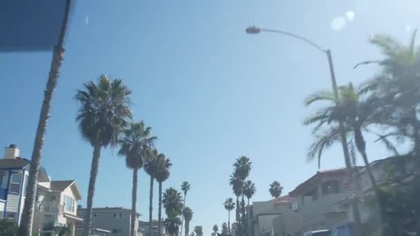 Palmera en la calle de la ciudad cerca de Los Ángeles, California vacaciones de verano viaje por carretera — Vídeos de Stock