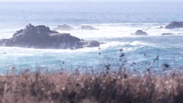 Klippiga klippor, havsstrand, Point Lobos, Kaliforniens kust. Vågor kraschar. — Stockvideo