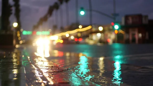 Lights reflection on road in rainy weather. Palm trees and rainfall, California.