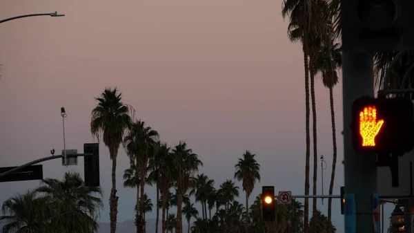 Palm trees in city near Los Angeles, street road sign, semaphore traffic lights. — Stock Photo, Image