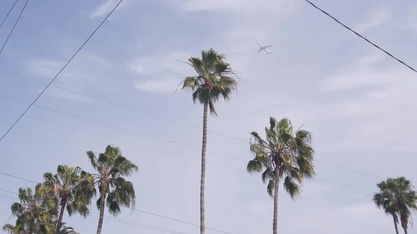 Avión volando en el cielo, palmeras tropicales en Los Ángeles, California. Viajes Estados Unidos. — Foto de Stock