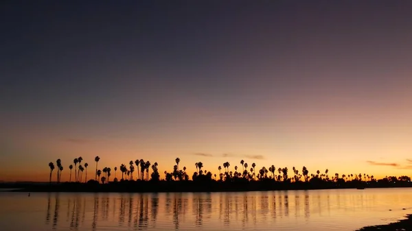 Viele Palmen Silhouetten Reflexion, Sonnenuntergang Ozeanstrand, Kalifornien Küste USA — Stockfoto