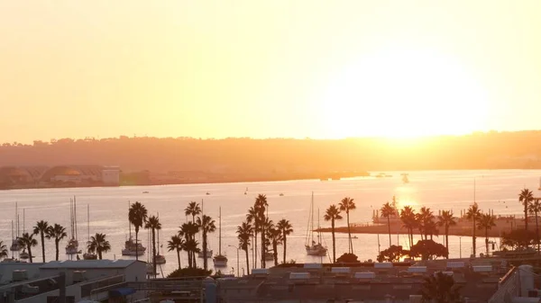 Silhuetas de palmeiras, porto oceânico ao pôr-do-sol, San Diego, costa da Califórnia, EUA. — Fotografia de Stock