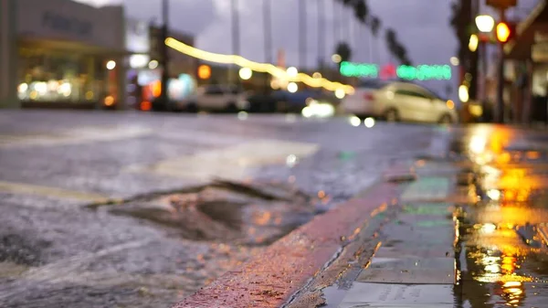 Yağmurlu havada yol ışıklarının yansıması. Palmiye ağaçları ve yağmur, Kaliforniya. — Stok fotoğraf