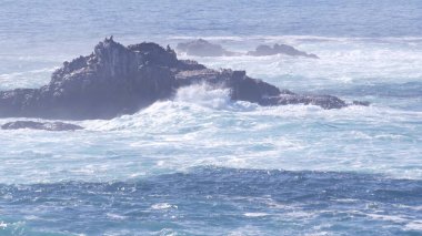 Kayalık uçurum, okyanus plajı, Point Lobos, California sahili. Dalgalar çarpıyor.