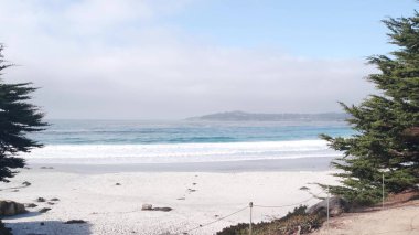Yol, patika ya da patika, okyanus sahili, California sahili. Rıhtıma bakan selvi ağacı..