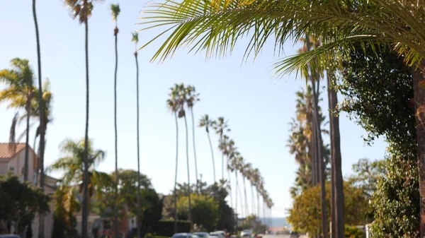 Row of palm trees, city near Los Angeles, California coast. Palmtrees by beach. — Stock Photo, Image