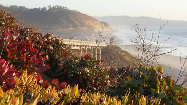 Pasifik kıyısı karayolu köprüsü, Torrey Pines plaj günbatımı, California yol gezisi