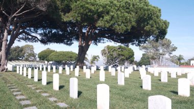 Amerikan askeri mezarlığının mezar taşları, ABD 'deki mezarlık..