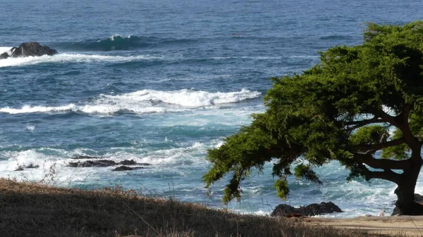 ロッキー海岸,海の波,ヒノキの木, 17マイルドライブ,モントレー,カリフォルニア州 — ストック写真