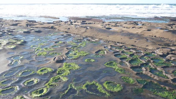 Eroded tide pool rock formation in California. Littoral intertidal tidepool zone