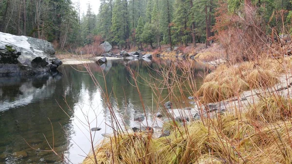 Річка тече, осінній ліс, Каліфорнія. Спокійна поверхня води або струмка.. — стокове фото