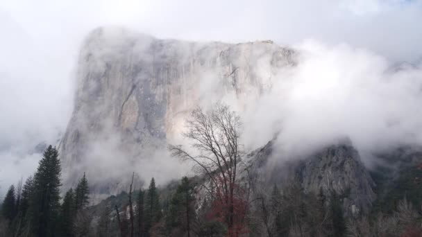Mistige bergen, kliffen of steile rotsen, mistige herfst, Californische rotsen of rotsen. — Stockvideo