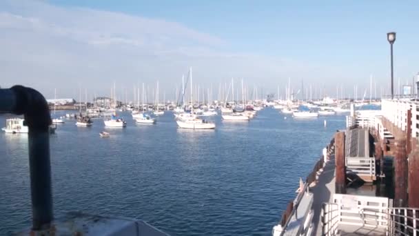 Yates en puerto o bahía, Puerto deportivo de Monterey, Old Fishermans Wharf, costa de California — Vídeo de stock