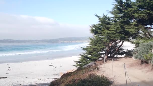 Path, trail or footpath, ocean beach, California coast. Waterfront pine cypress. — Stock Video