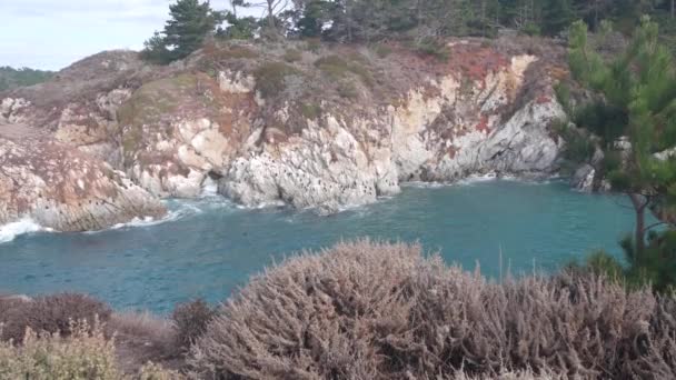 Sosna iglasta, cyprys, skała, skała lub klif, plaża oceaniczna, wybrzeże Kalifornii — Wideo stockowe