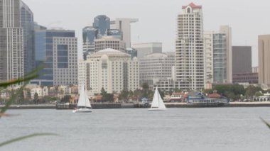 Şehir merkezi silueti, San Diego şehir merkezi, ABD. Limandaki yüksek gökdelenler.