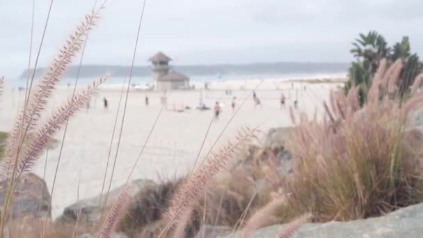 Personnes jouant au volley-ball sur une plage de sable fin, côte californienne, États-Unis. Sauveteur — Video