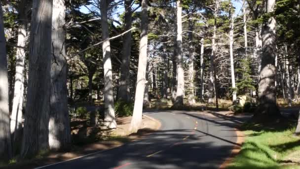 Malownicze 17 mil jazdy, Monterey, Kalifornia. Wycieczka przez las cyprysowy. — Wideo stockowe