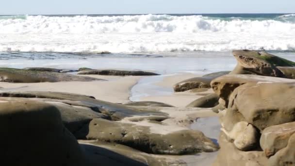 Große Ozeanwelle kracht auf Strand, kalifornische Küste, erodierter Stein oder Fels auf Sand — Stockvideo