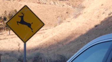 Geyik sarı yol işareti, California USA. Vahşi hayvan çarpması, trafik güvenliği