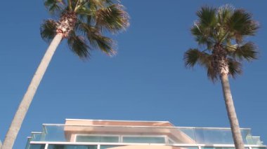 Minimalist mimari, palmiye ağaçları, pembe duvar, mavi gökyüzü. Kaliforniya yazı