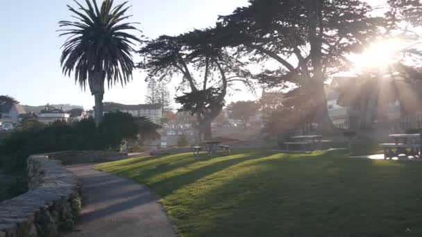 Taman Lovers Point di Pacific Grove, pantai Monterey California. Pohon pinus Cypress — Stok Video
