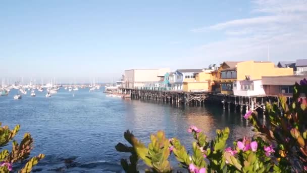 Odun yığınları üzerinde ahşap evler, Ocean Bay Limanı. Old Fishermans Rıhtımı. Monterey Limanı — Stok video