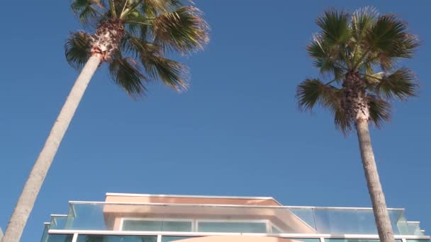 Arquitetura minimalista e palmeiras, parede rosa, céu azul. Verão da Califórnia — Vídeo de Stock