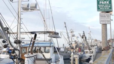 Marinada balıkçı tekneleri, balıkçılık endüstrisi, rıhtım iskelesi, ABD 'de balıkçılık..