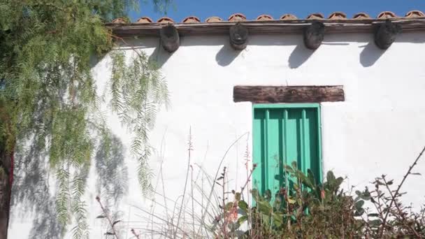 Tanaman yang subur, kaktus oleh dinding putih dengan jendela kayu hijau, taman Meksiko. — Stok Video
