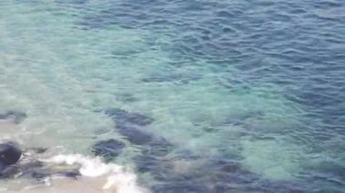 Okyanus suyunda fok balığı dalışı, Kaliforniya kıyılarında su altında yüzen vahşi deniz aslanı..