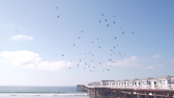 Wooden Crystal pier on piles with white cottages, California ocean beach, USA. — Stock Video