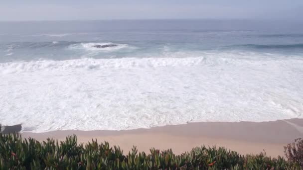 Oceaangolven storten neer op het strand, zeewateroppervlak, Californië. Sappige planten. — Stockvideo