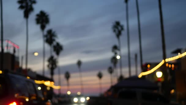 Palm trees in Ocean Beach, lights in twilight, California coast, San Diego, USA. — Stock Video