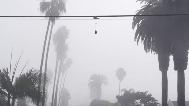 Zapatillas de deporte zapatos de lona colgando en la línea de energía, niebla en la calle de la ciudad. Botas en cables. — Vídeos de Stock