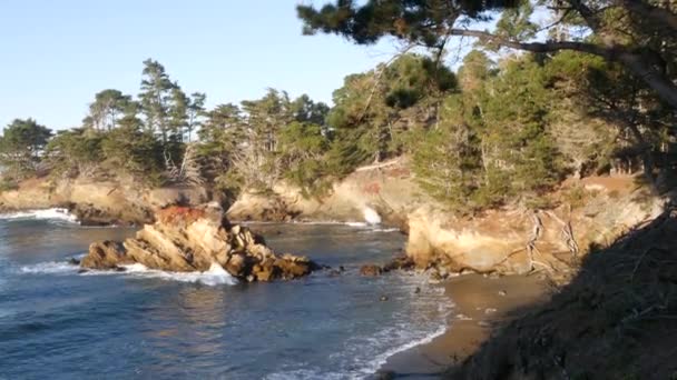 Rotsachtige klif, oceaanstrand, Point Lobos, Californische kust. Golven bij zonsondergang. — Stockvideo